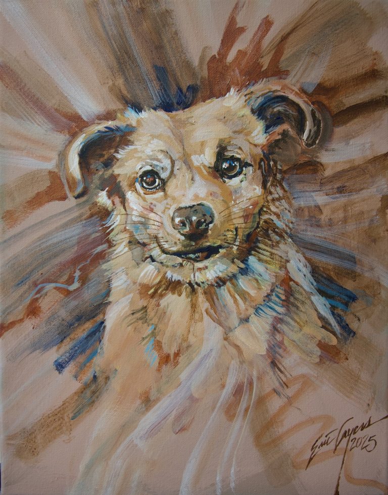 Bella pet portrait