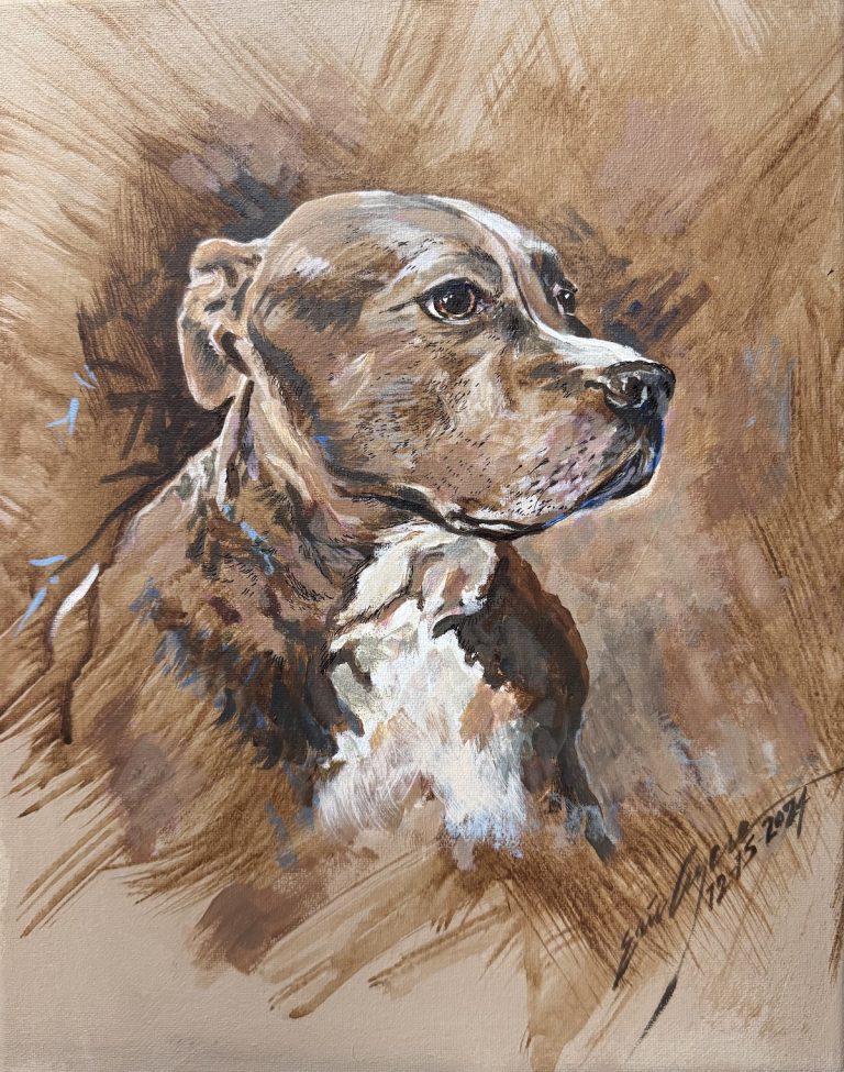 Colt pet portrait