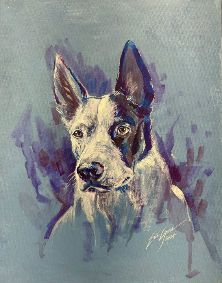Doc pet portrait