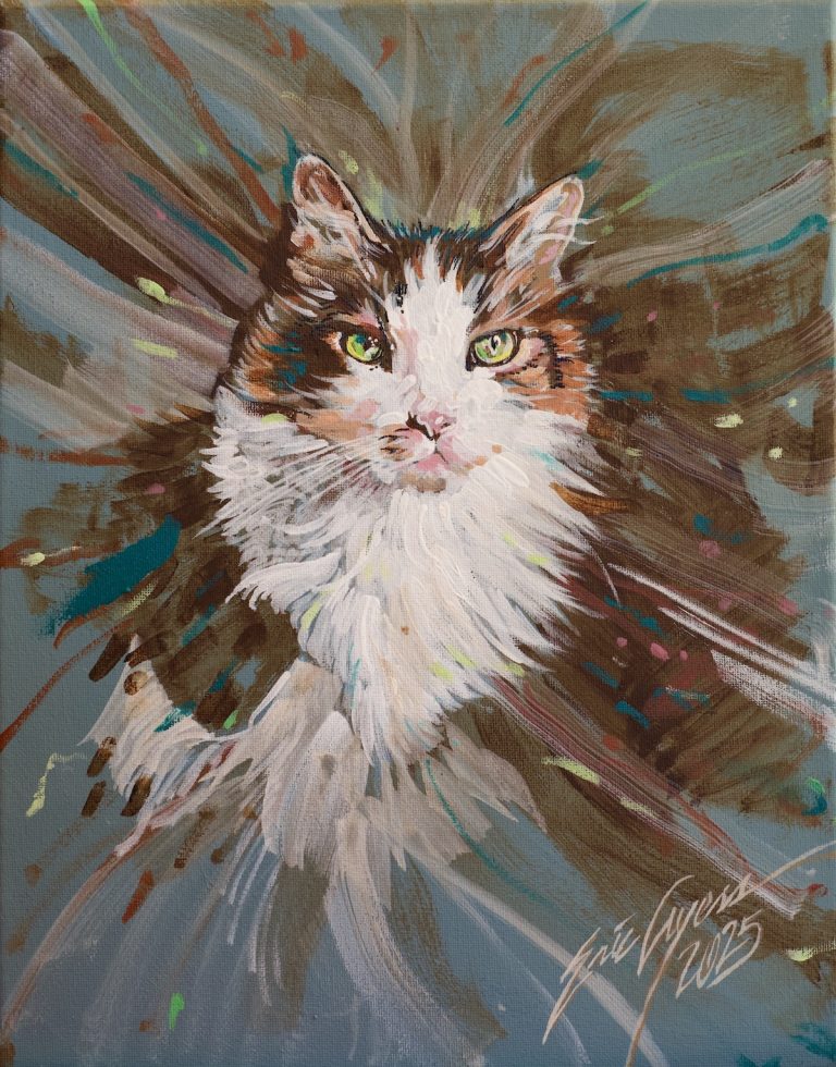Pym pet portrait