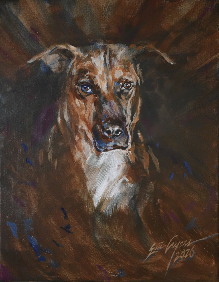 Maci pet portrait