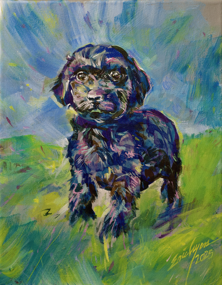 Poppy pet portrait